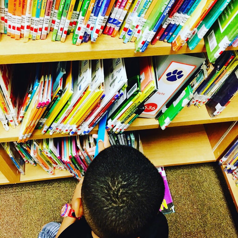 Looking for books in the new school year!